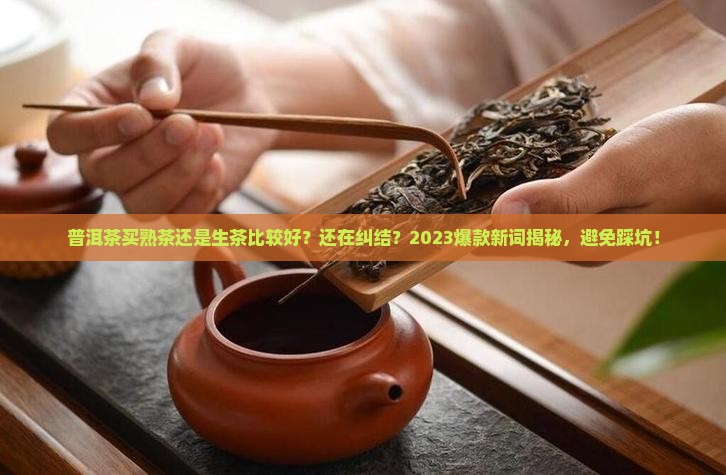 普洱茶买熟茶还是生茶比较好