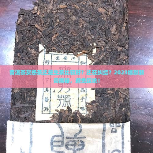 普洱茶买熟茶还是生茶比较好