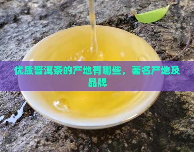 优质普洱茶的产地
