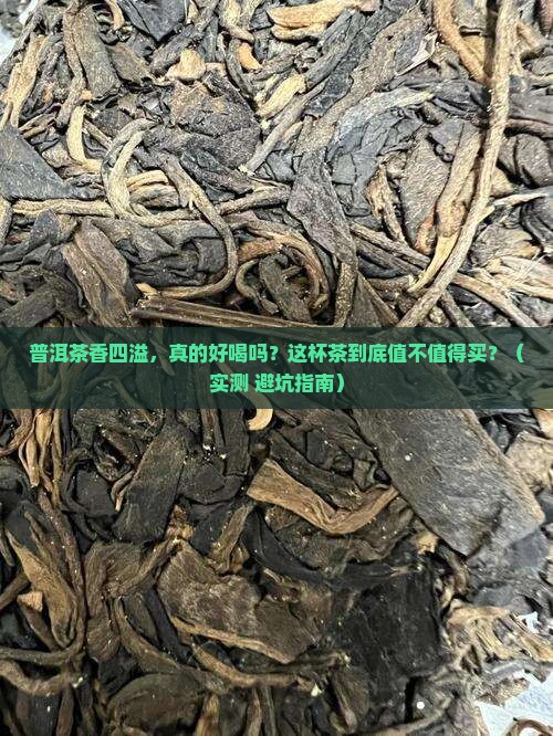 普洱茶香四溢怎么样好喝吗