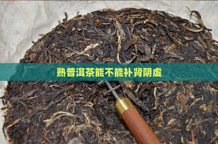 熟普洱茶能不能补肾阴虚
