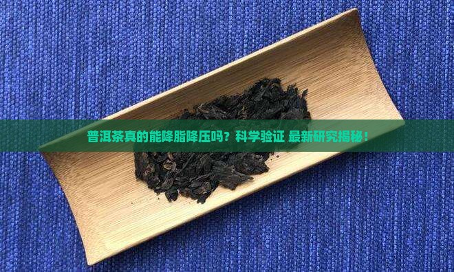 普洱茶降脂降压