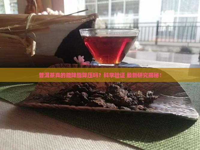 普洱茶降脂降压