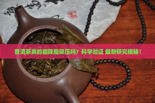 普洱茶降脂降压