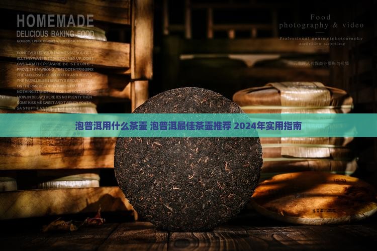泡普洱用什么茶壶