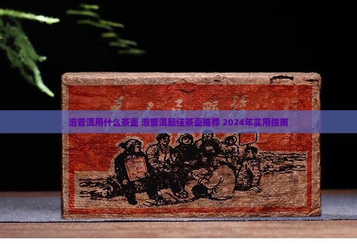 泡普洱用什么茶壶
