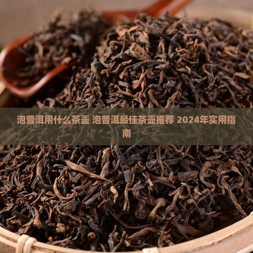 泡普洱用什么茶壶