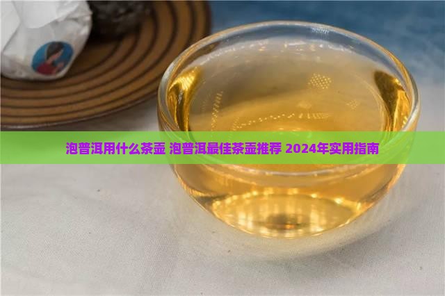 泡普洱用什么茶壶