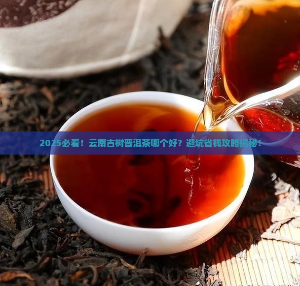 云南古树普洱茶哪个好