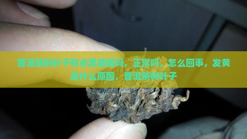 普洱茶的叶子有点黑