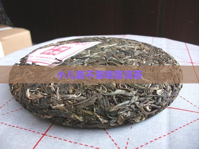 小儿能不能喝普洱茶 小儿能不能喝普洱茶