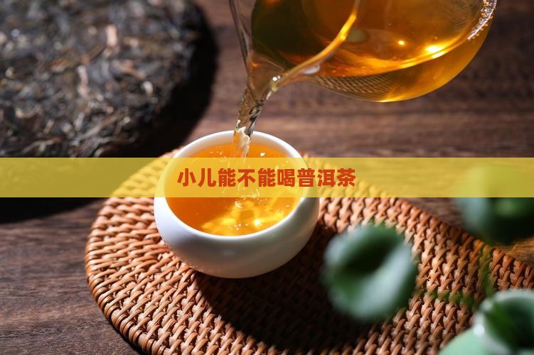 小儿能不能喝普洱茶 小儿能不能喝普洱茶