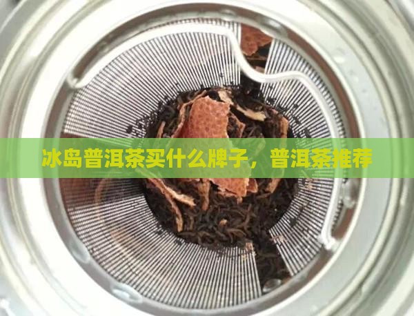 1999冰岛茶买什么牌子