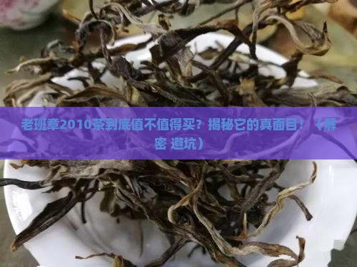 老班章2010茶