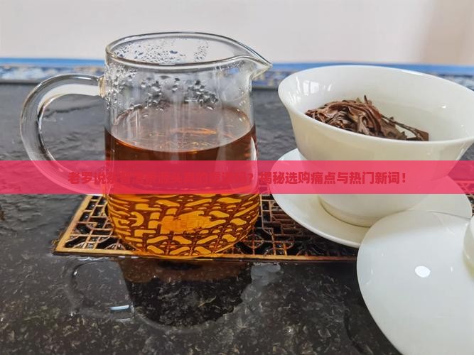 老罗说茶普洱茶源头
