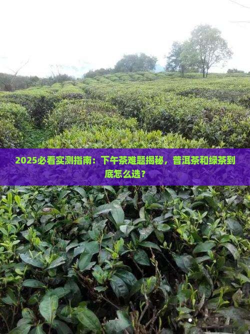 下午喝普洱茶还是绿茶