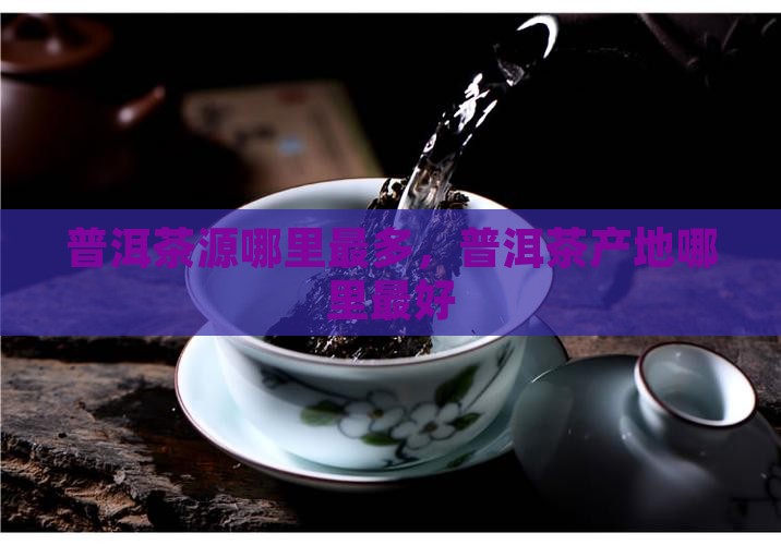 普洱茶源哪里最多