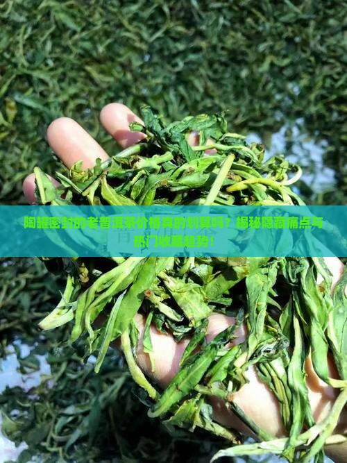 陶罐密封的老普洱茶价格
