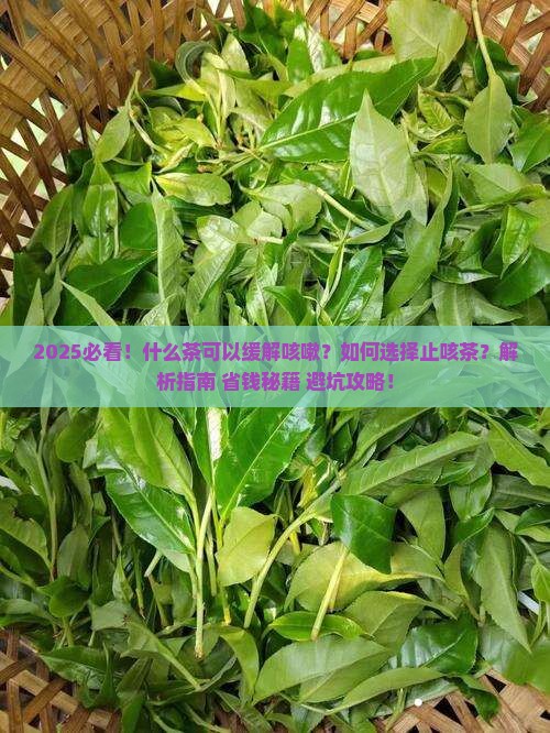 什么茶可以缓解咳嗽