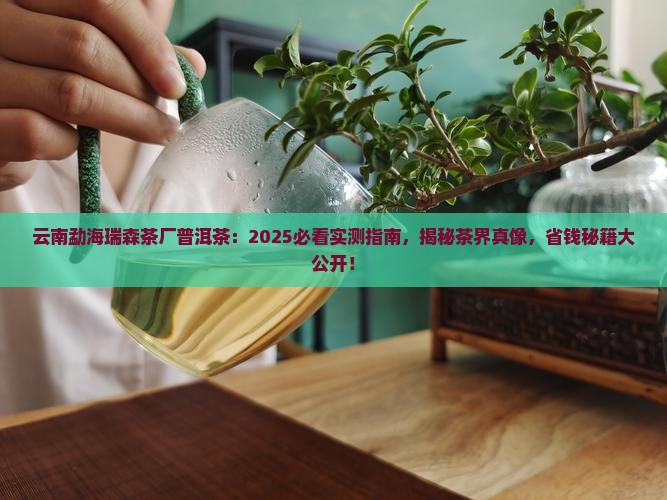 云南勐海瑞森茶厂普洱茶