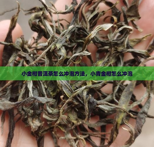 小金柑普洱茶怎么冲泡