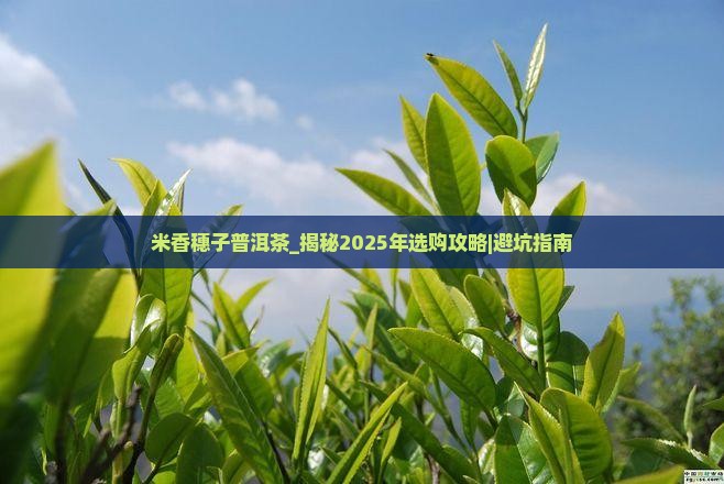 米香穗子普洱茶