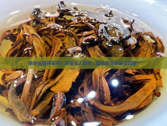 茶叶含磷钾高吗