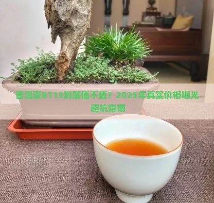 普洱茶8113多少钱