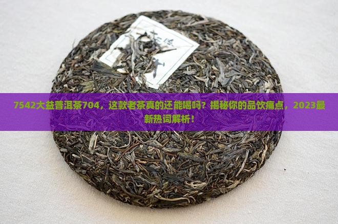 7542大益普洱茶704