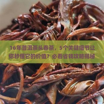 16年普洱茶头春茶