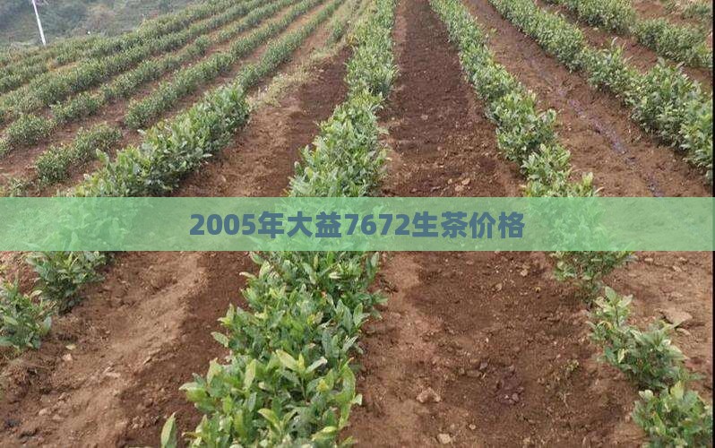 2005年大益7672生茶价格