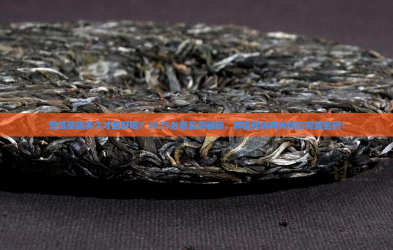 普洱茶能放几年好喝一点