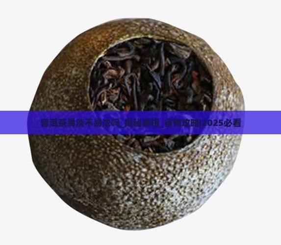 普洱茶易淡不易浓吗 普洱茶易淡不易浓吗