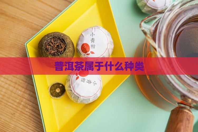 普洱茶属于什么种类