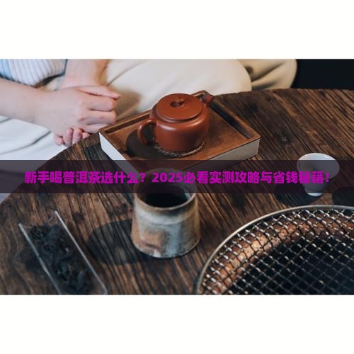 新手喝普洱茶选