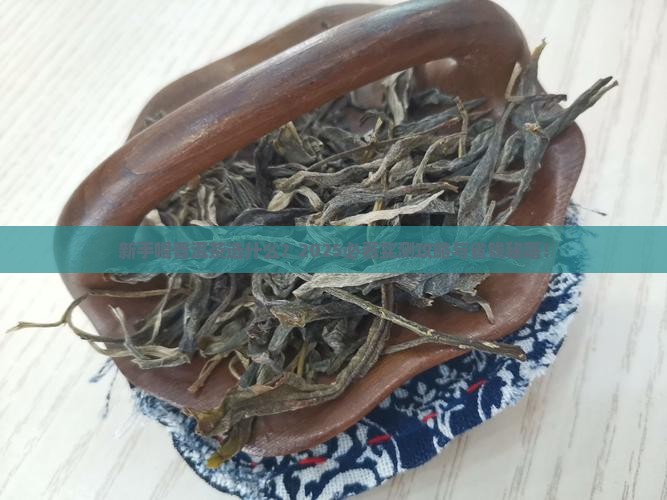 新手喝普洱茶选