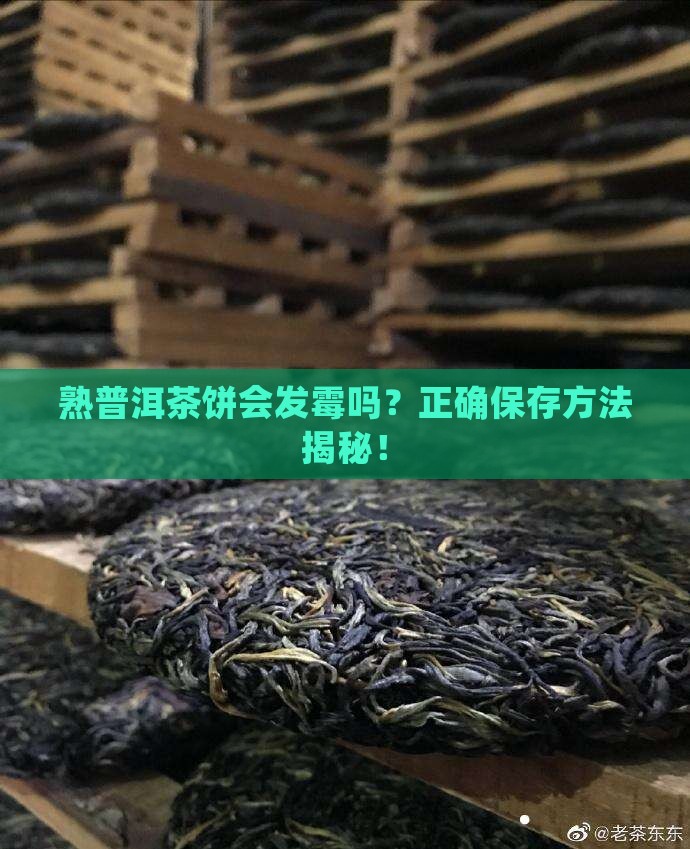 熟普洱茶饼会发霉吗