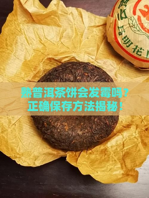 熟普洱茶饼会发霉吗