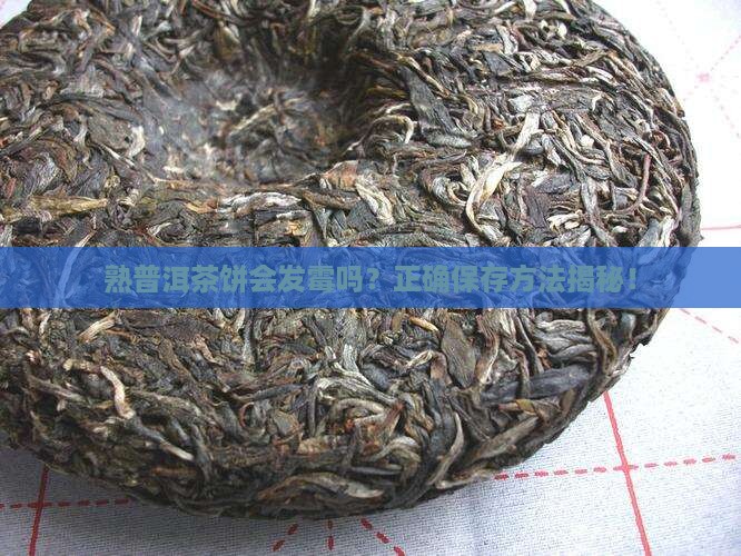 熟普洱茶饼会发霉吗