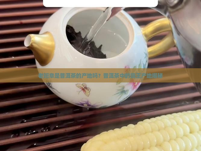 老班章是普洱茶的产地么