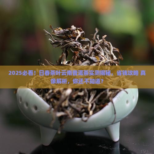 日春茶叶云南普洱茶