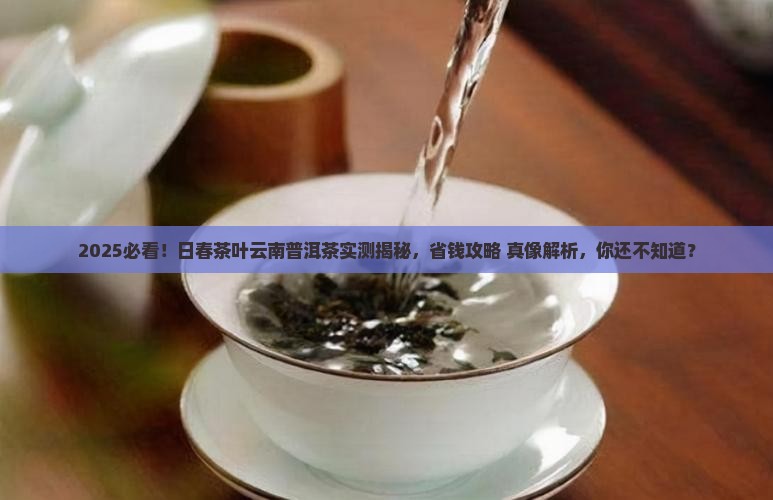 日春茶叶云南普洱茶