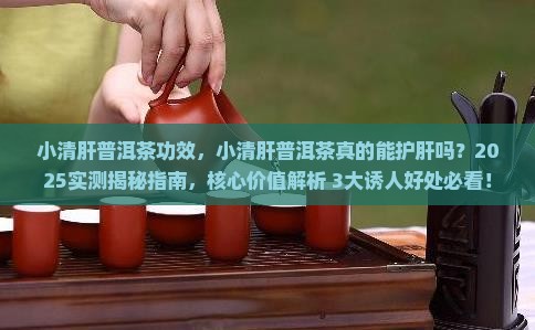 小清肝普洱茶功效