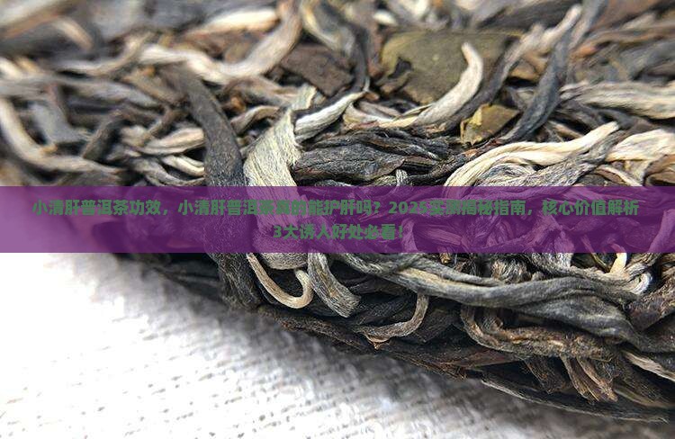 小清肝普洱茶功效