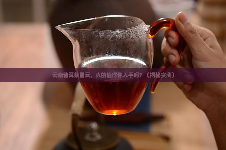云南普洱茶昌云