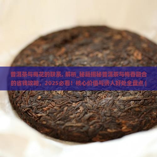 普洱茶与梅花的联系