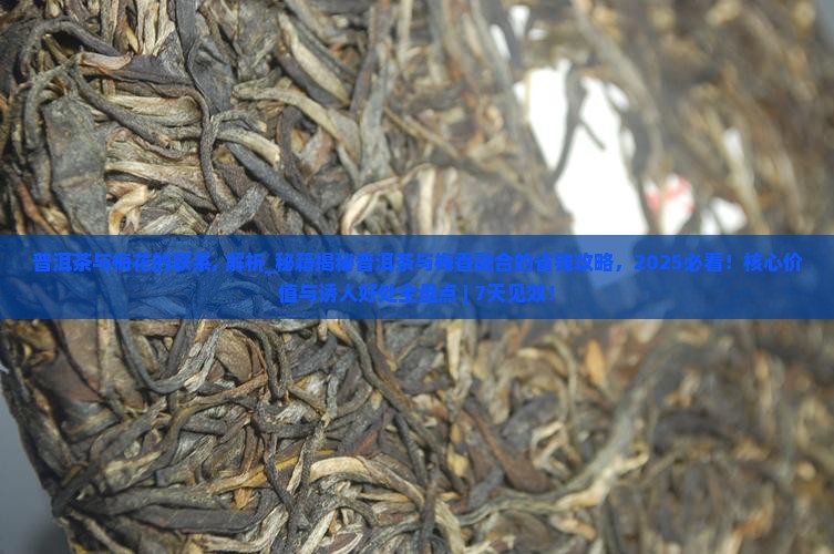 普洱茶与梅花的联系