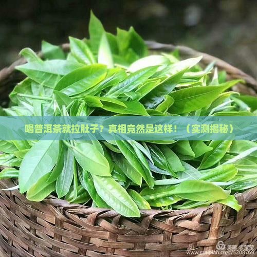 每次喝普洱茶就拉肚子
