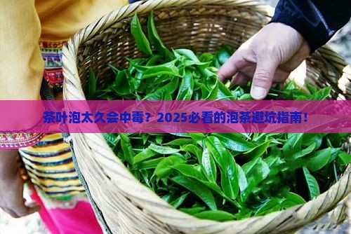 茶叶泡多长时间有毒