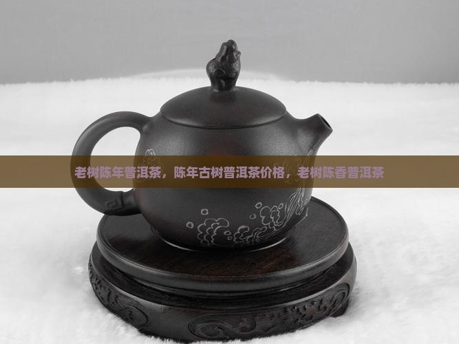 老树陈年普洱茶